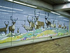 Barren Ground Caribou, Spadina TTC