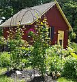 Benjamin Riegel House Shed