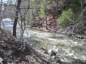 Black Creek (Nescopeck Creek)