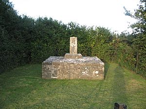 Cross Sarsfieldstown Barnewall