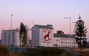 Dingo flour gnangarra