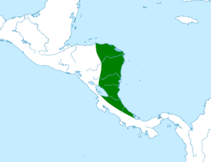 Ectophylla alba map.svg