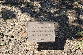 Finley Memorial Park Lone Pine Plaque