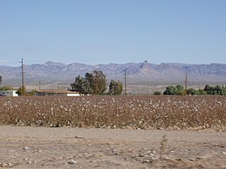 Fort Mojave Res