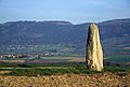 Grandson Menhir