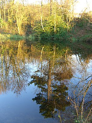 Gynsills nature reserve