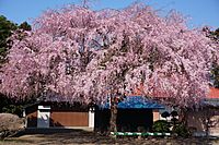 Hōkō-ji, Kitamoto, Saitama