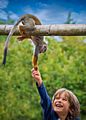 Happy little boy with monkey