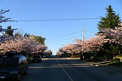 Hythe Ave Capitol Hill Burnaby