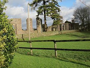 Jigginstown House, Naas, Co. Kildare.jpg