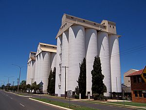 KingaroyPeanutSilos.jpg