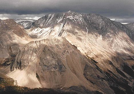 Lychnis Mountain