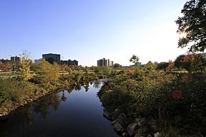 Mill River Park Stamford.jpg