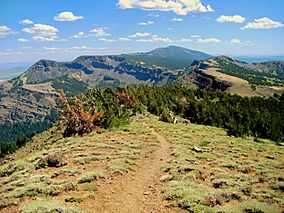 Modoc National Forest.jpg