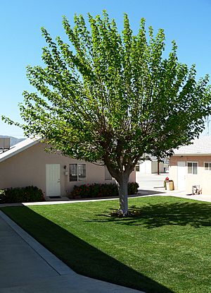 Morongo Reservation View.jpg