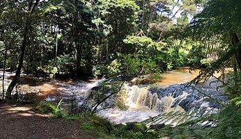 Morrinsville waterfall.jpg