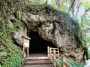 MotherShipton'sCave