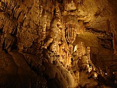 NaturalBridgeCaverns11