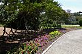 NorfolkBotanicalGardenBorder