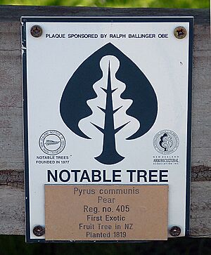 Pear tree sign