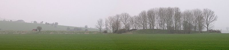 Pentridge2 long barrow dorset