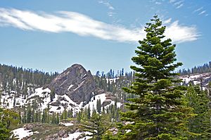 Plumas-Eureka State Park landscape.jpg