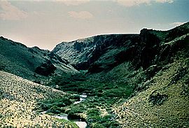 Salmon Falls Creek Canyon.jpg