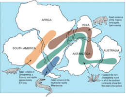 Snider-Pellegrini Wegener fossil map