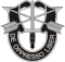 SpecialForces Badge.svg