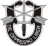 SpecialForces Badge.svg