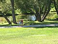 Summer in the Park, Newmarket, Ontario (4287849290)