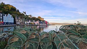 TobermoryLobsterPots