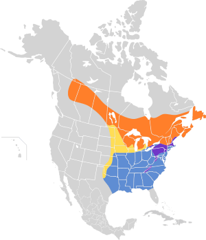 Troglodytes hiemalis map.svg