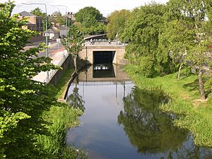 View from Luas bridge