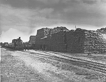 Wheat Stacks at Kybunga(GN08023).jpg