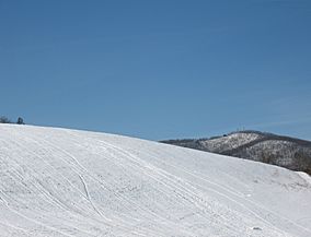 Woody's Knob & Towers