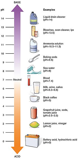 216 pH Scale-01