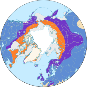 Acanthis distribution map.svg