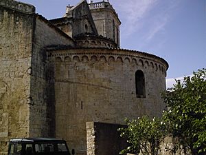 Besalu4