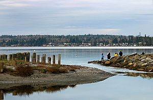 Birch Bay in 2008