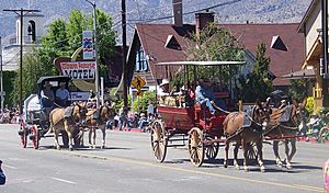 Bishop Mule Days 3