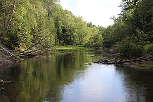 Black river cheboygan county