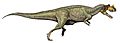 Ceratosaurus nasicornis DB