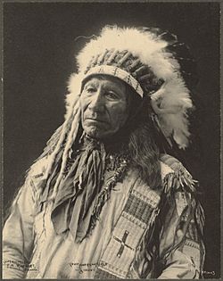 Chief American Horse