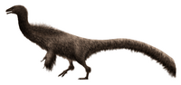 Falcarius Restoration