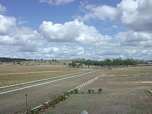 Gayndah Racecourse.jpg