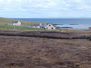 Houses at Vaivoe (geograph 3584957).jpg