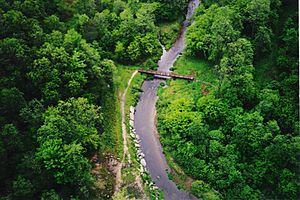 Kinzua Bridge State Park 001