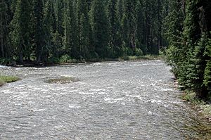 Lochsaheadwaters.jpg