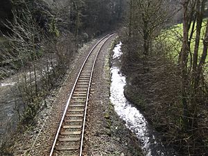 Looe Canal at Plashford bridge